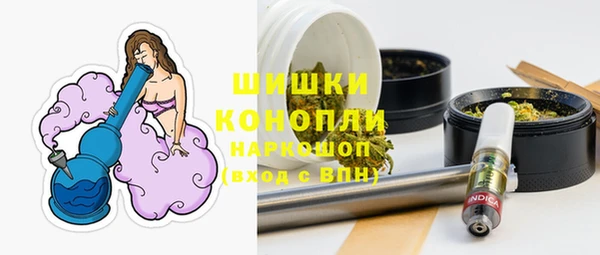 ГАЛЛЮЦИНОГЕННЫЕ ГРИБЫ Алексин