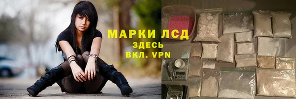 ГАЛЛЮЦИНОГЕННЫЕ ГРИБЫ Алексин