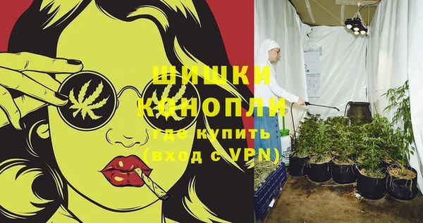 молекула духа Приозерск