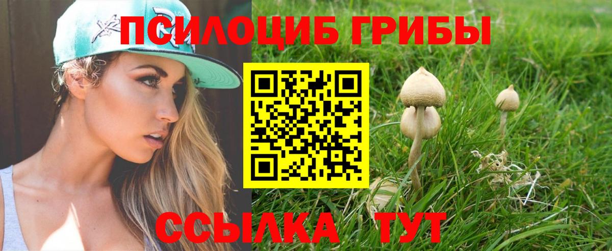 Галлюциногенные грибы мухоморы  Псилоцибиновые грибы мухоморы  Вход с VPN  Симферополь 